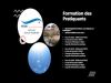 Formation des pratiquants a la une
